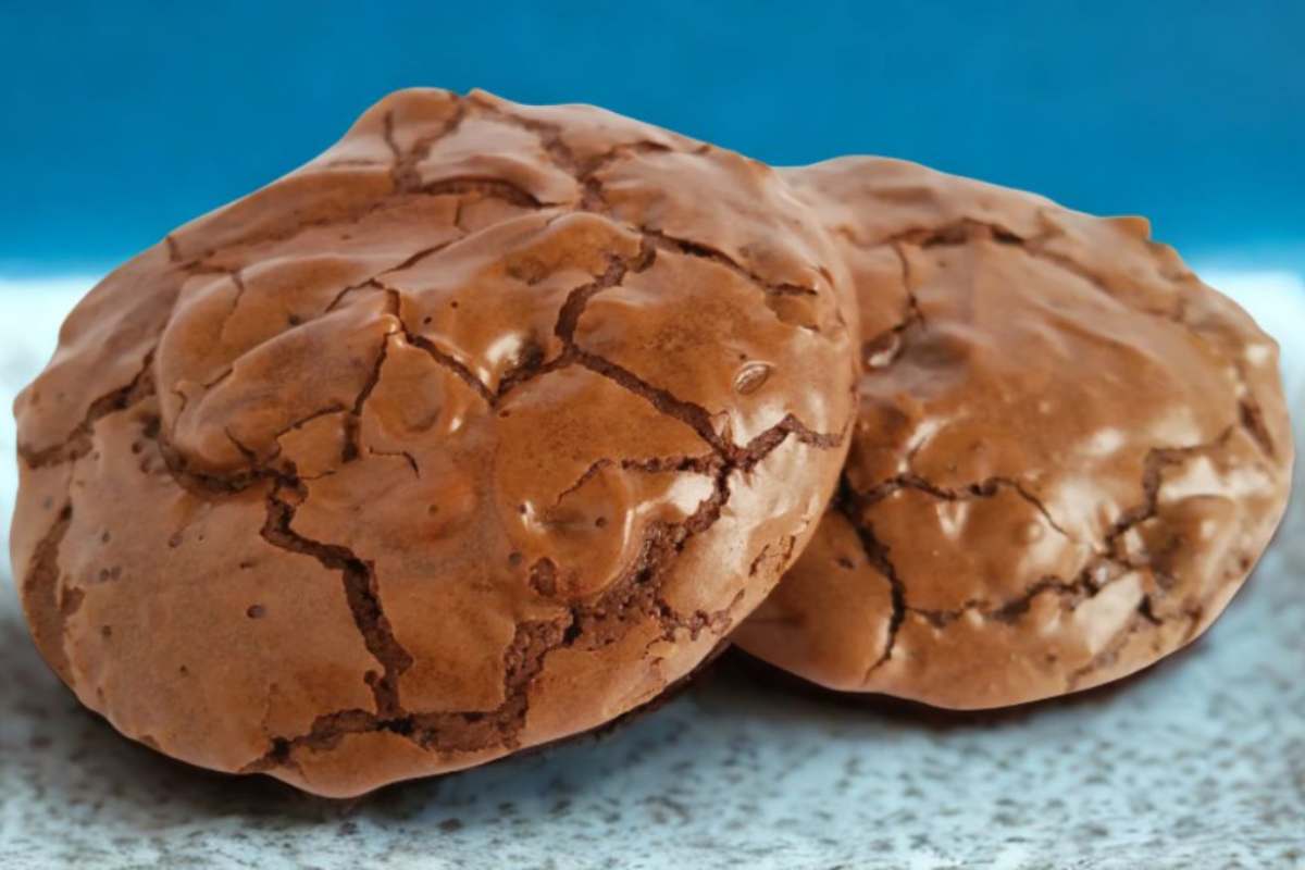 due maxi biscotti al cacao