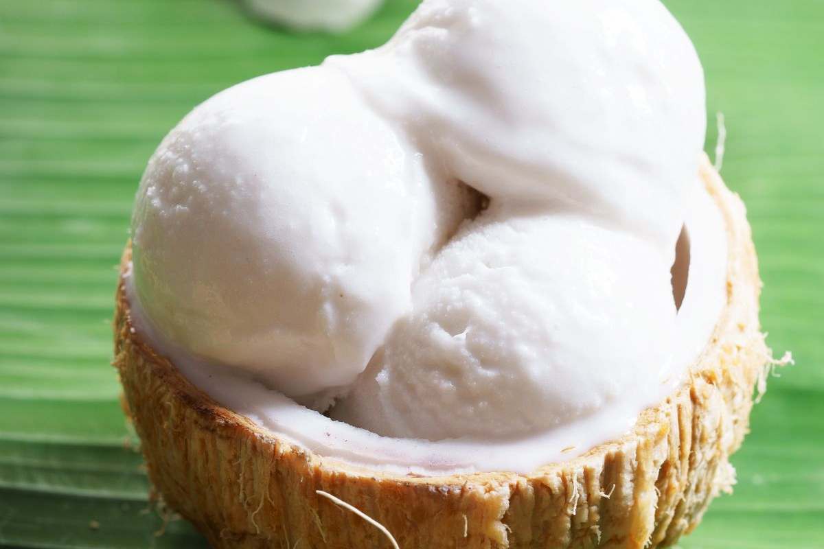 gelato servito dentro noce di cocco